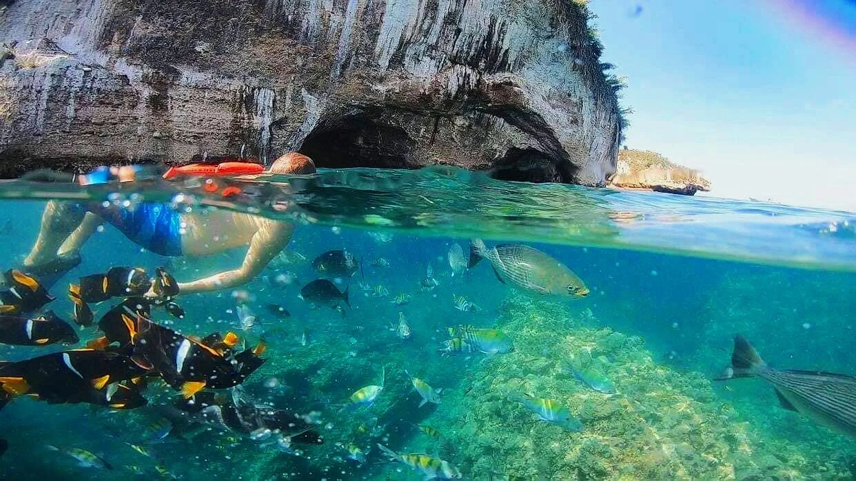 A stunning half-above, half-underwater view of Los Arcos, with a snorkeler exploring marine caves and tropical fish—book a private snorkeling tour with My Deztination.