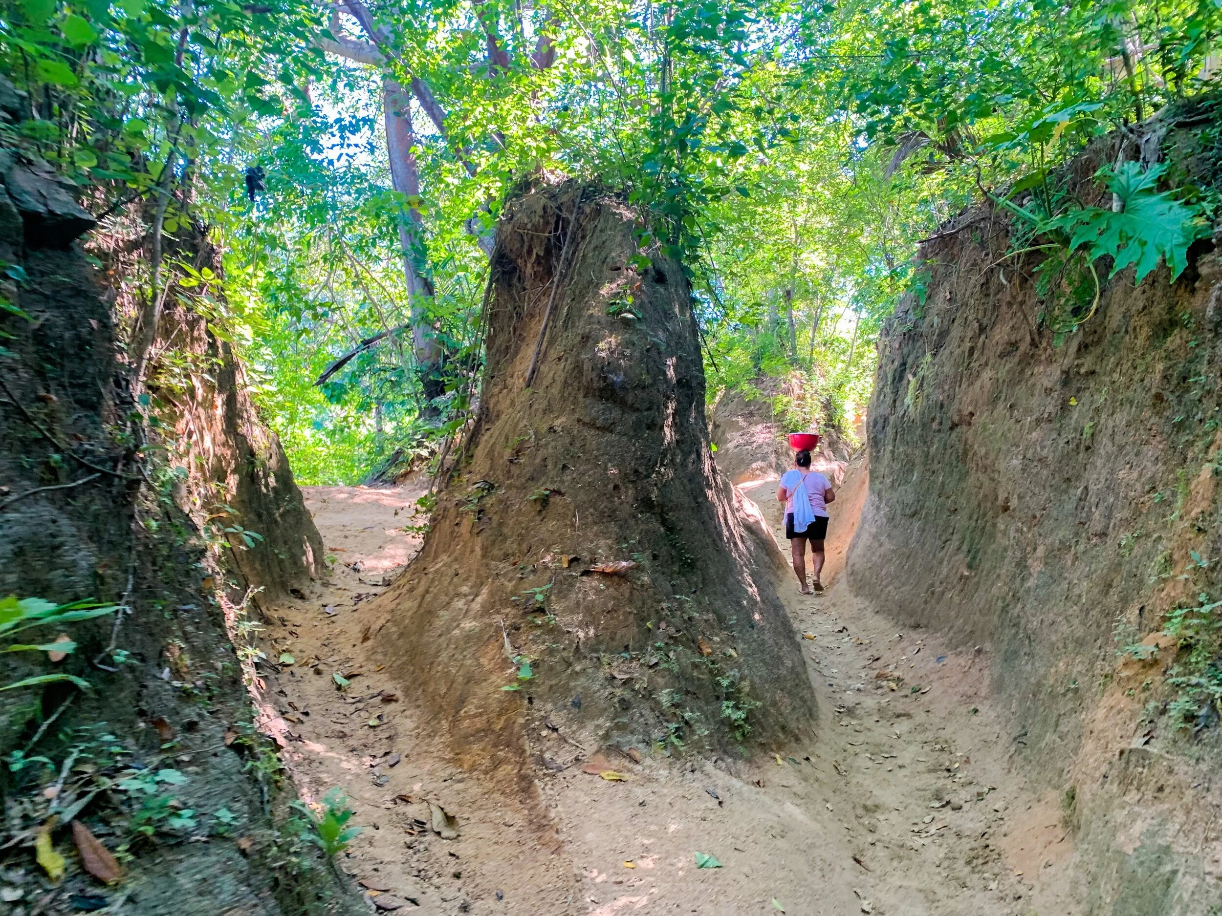 1E599B8F-2CA9-44A2-9C14-2459BA2CF272