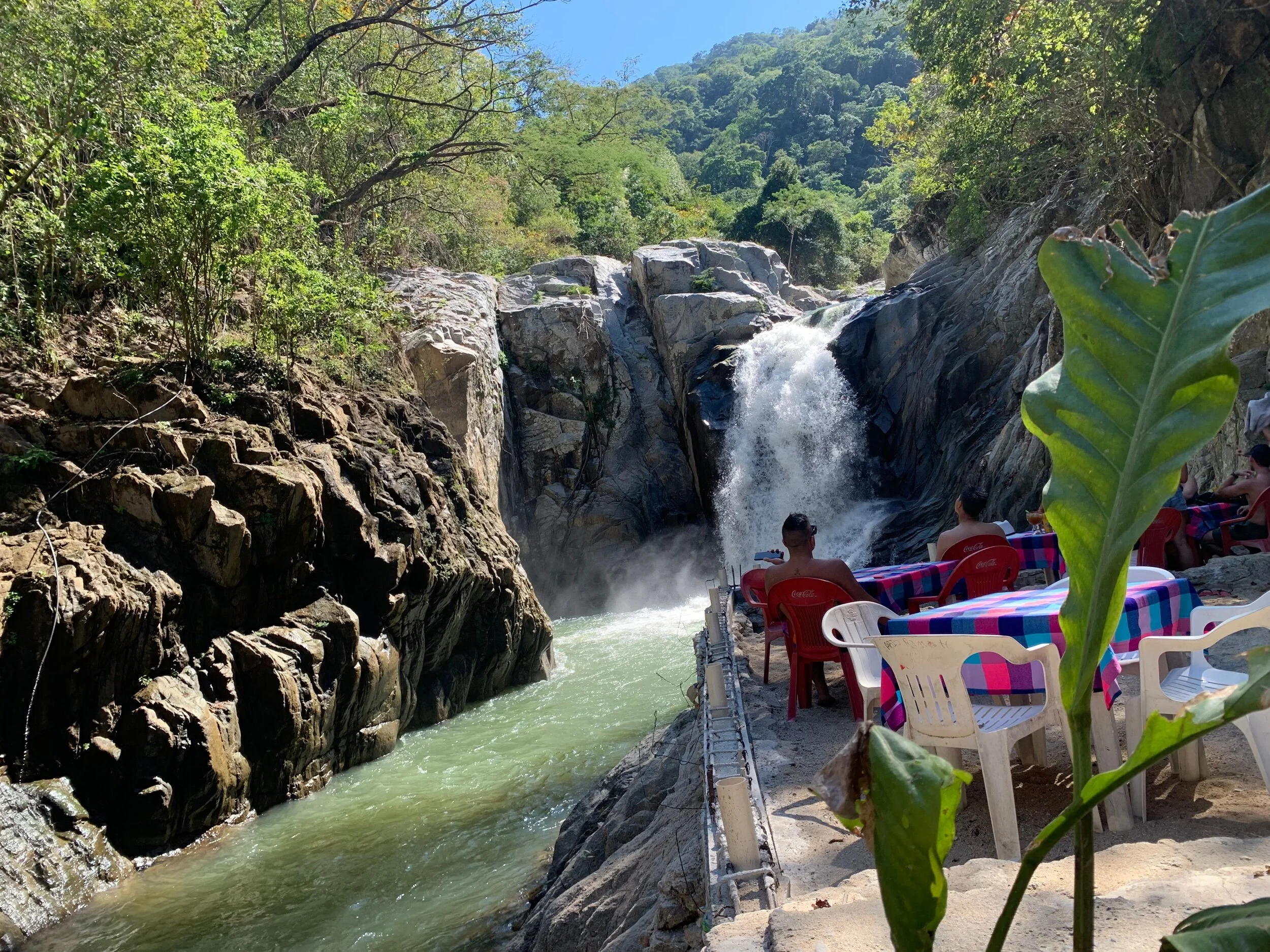 D613A81F-FDA8-4590-A28D-5E3C189DBB9D