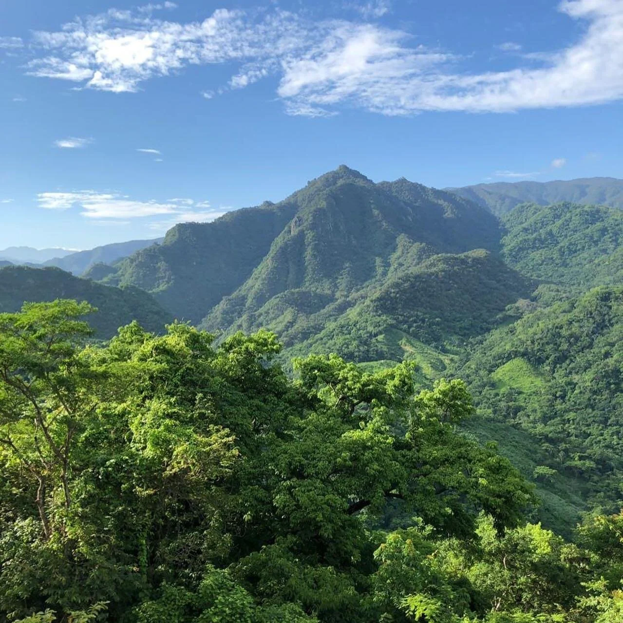 Mountain view backdrop on My Deztination’s ATV Jungle & City Tour.