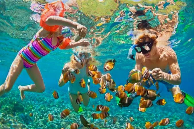Father snorkeling with two daughters among tropical fish, My Deztination.