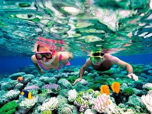 Guests snorkeling on a My Deztination tour in shallow reef with coral and tropical fish.