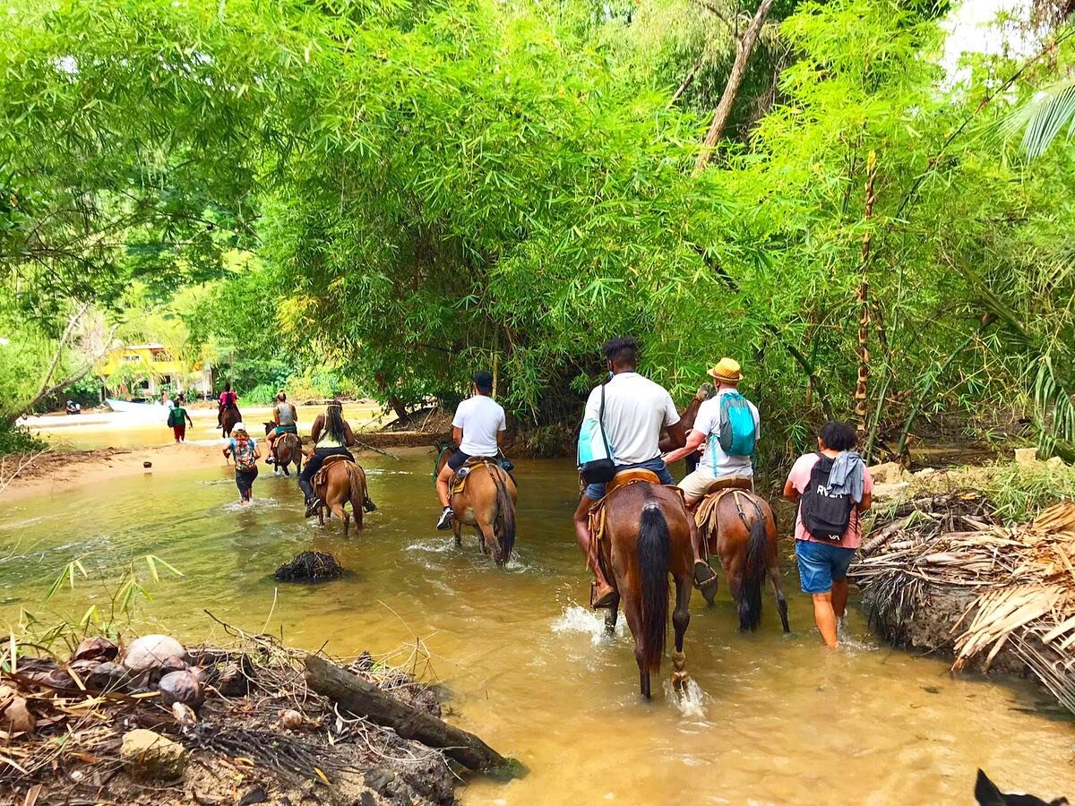 Vamos a Yelapa! 🏝

#puertovallartamexico #puertovallartaactivities #pvactivities #yelapa #yelapawaterfall #yelapabeach #horsebackriding #yelapamexico #visitmexico #welovepv