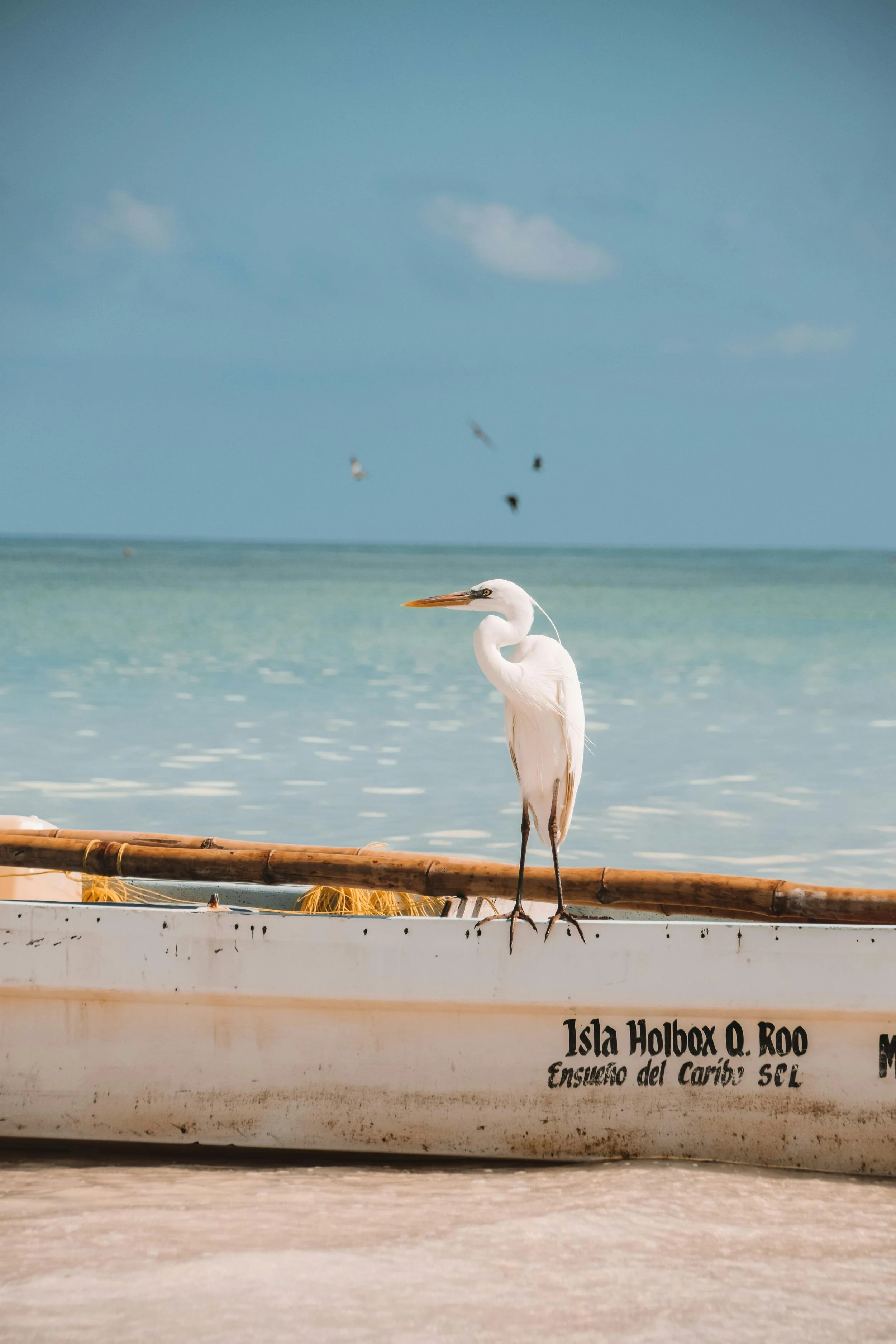 Tripadvisor’s Best Beaches in the World 2026
