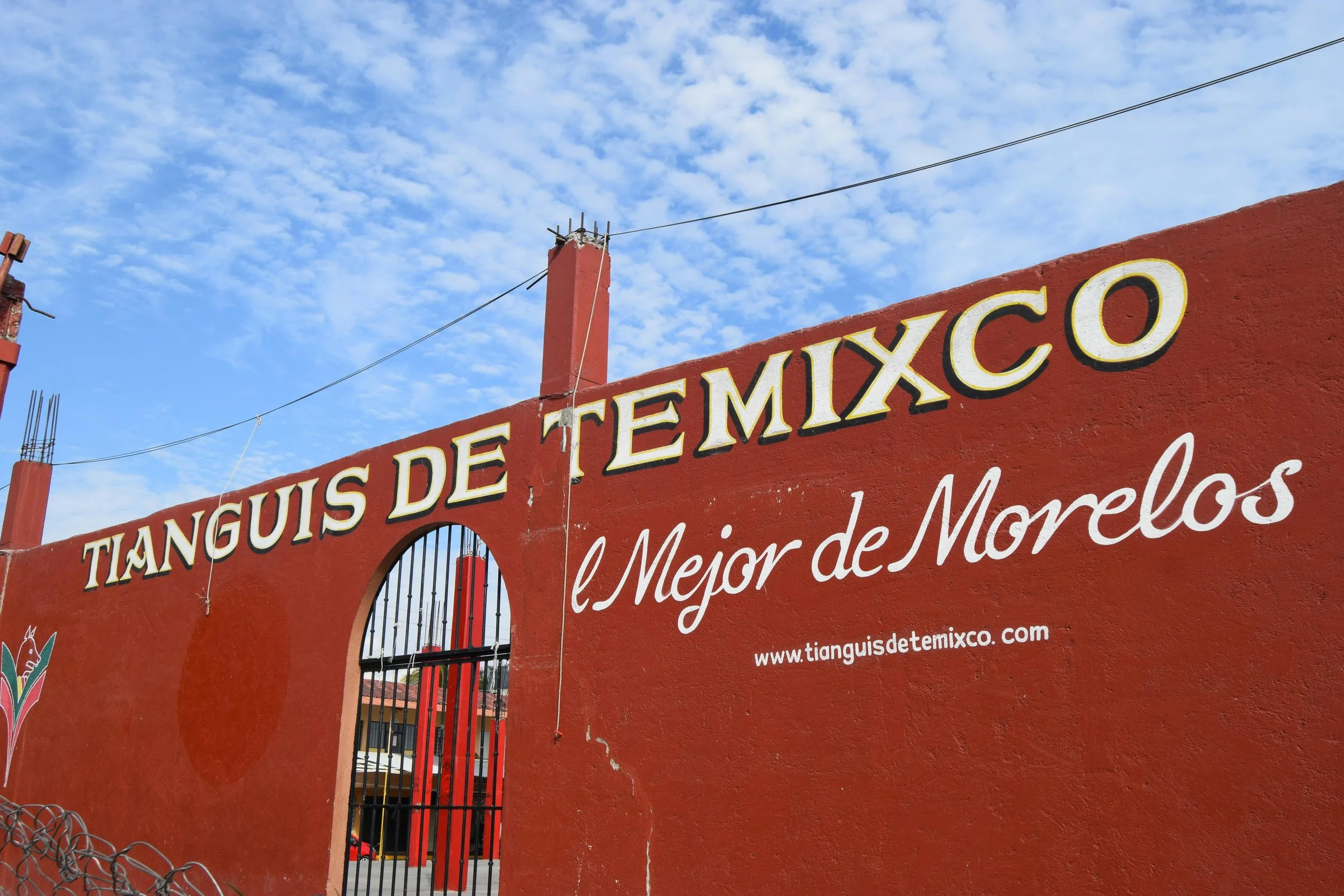 Clients exploring nearby tianguis after relocating to Mexico with support from My Deztination