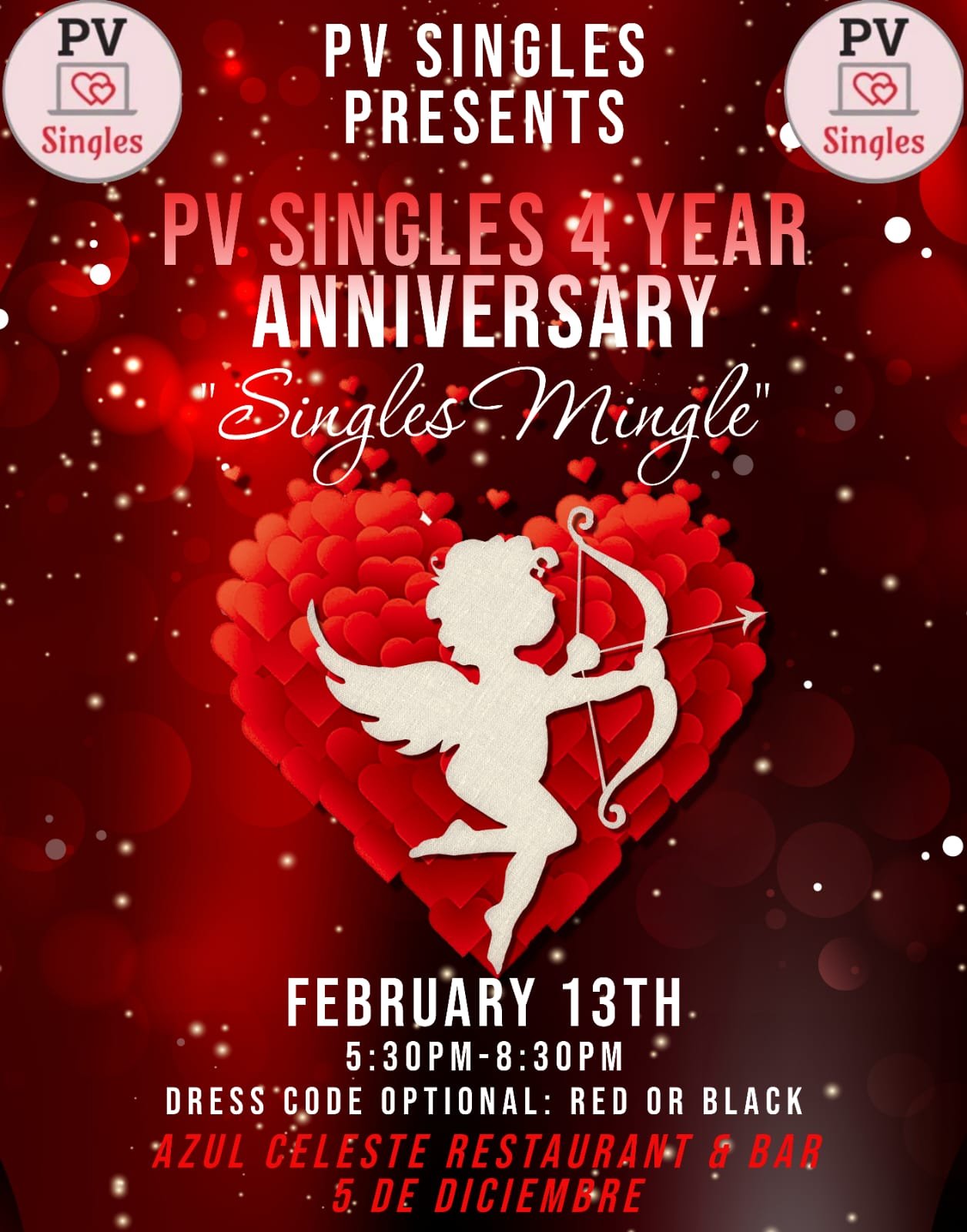 PV Singles | Puerto Vallarta Activities