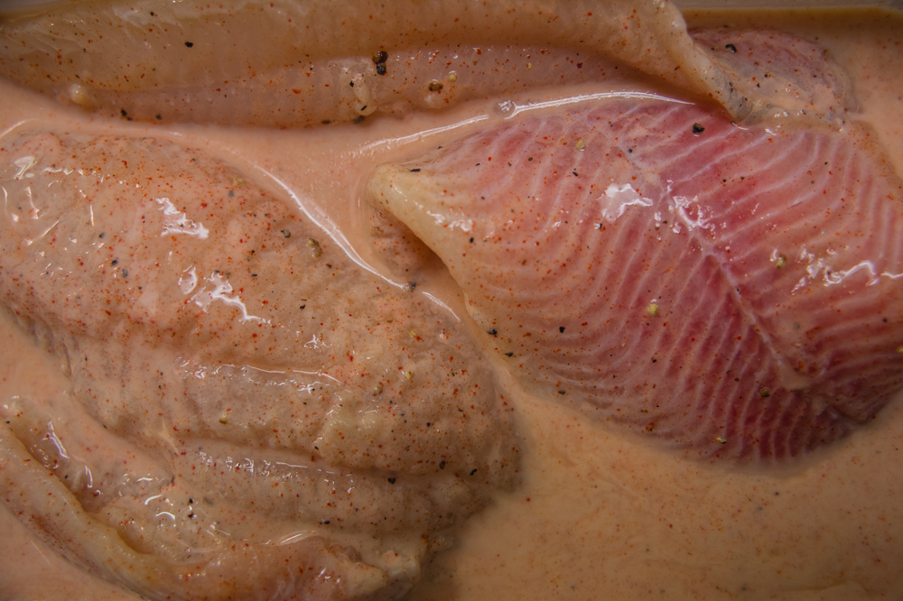 Southern style catfish marinating in Buttermilk.