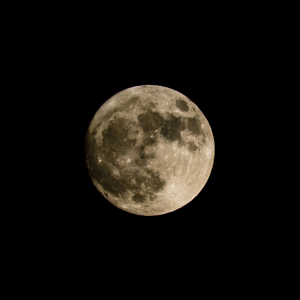 The "Beaver Super Moon" photographed using a 600mm f8 manual focus Sigma Reflex Catadioptric Lens. ISO200 f8 1/500