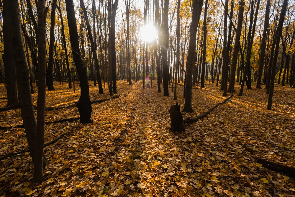 RockyRiverMetroPark