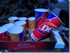 I'd rather have the blizzards that came in these.