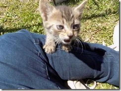 I is fierce, I tells ya!