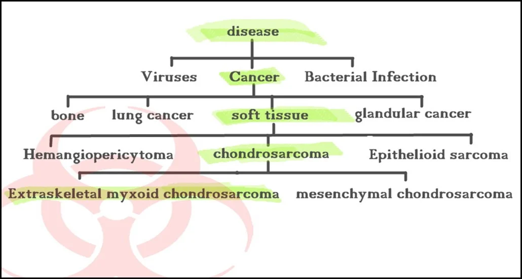 cancer cladogram