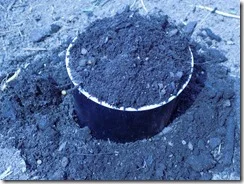 tops of cups for squash and pumpkins (12)