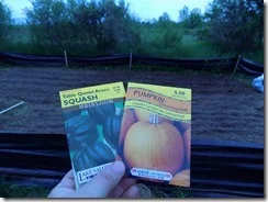 tops of cups for squash and pumpkins (1)