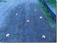 tops of cups for squash and pumpkins&nbsp;
