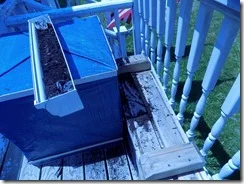 what happens when cats happen