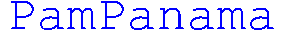 PamPanama Productions Logo