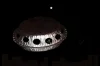Quotidian Bon-Bon
