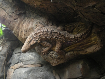 Carving of alligator on the Tree of Life in Animal Kingdom