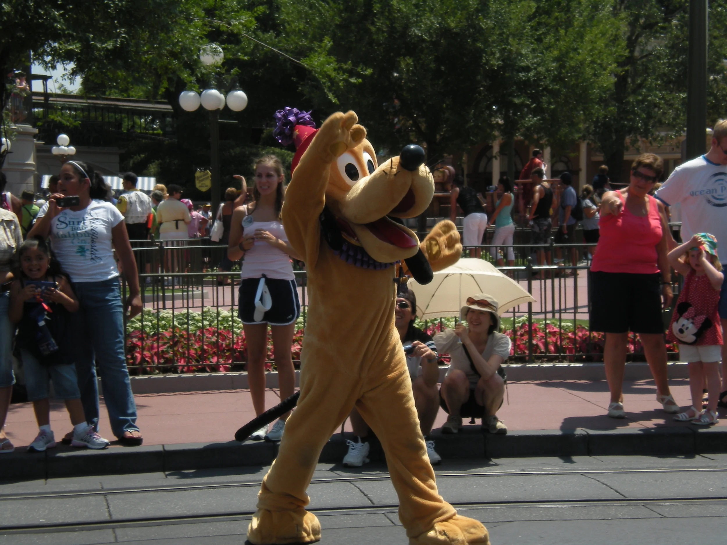 Dog -Pluto in Celebrate Today Parade at Magic Kingdom, WDW, Florida