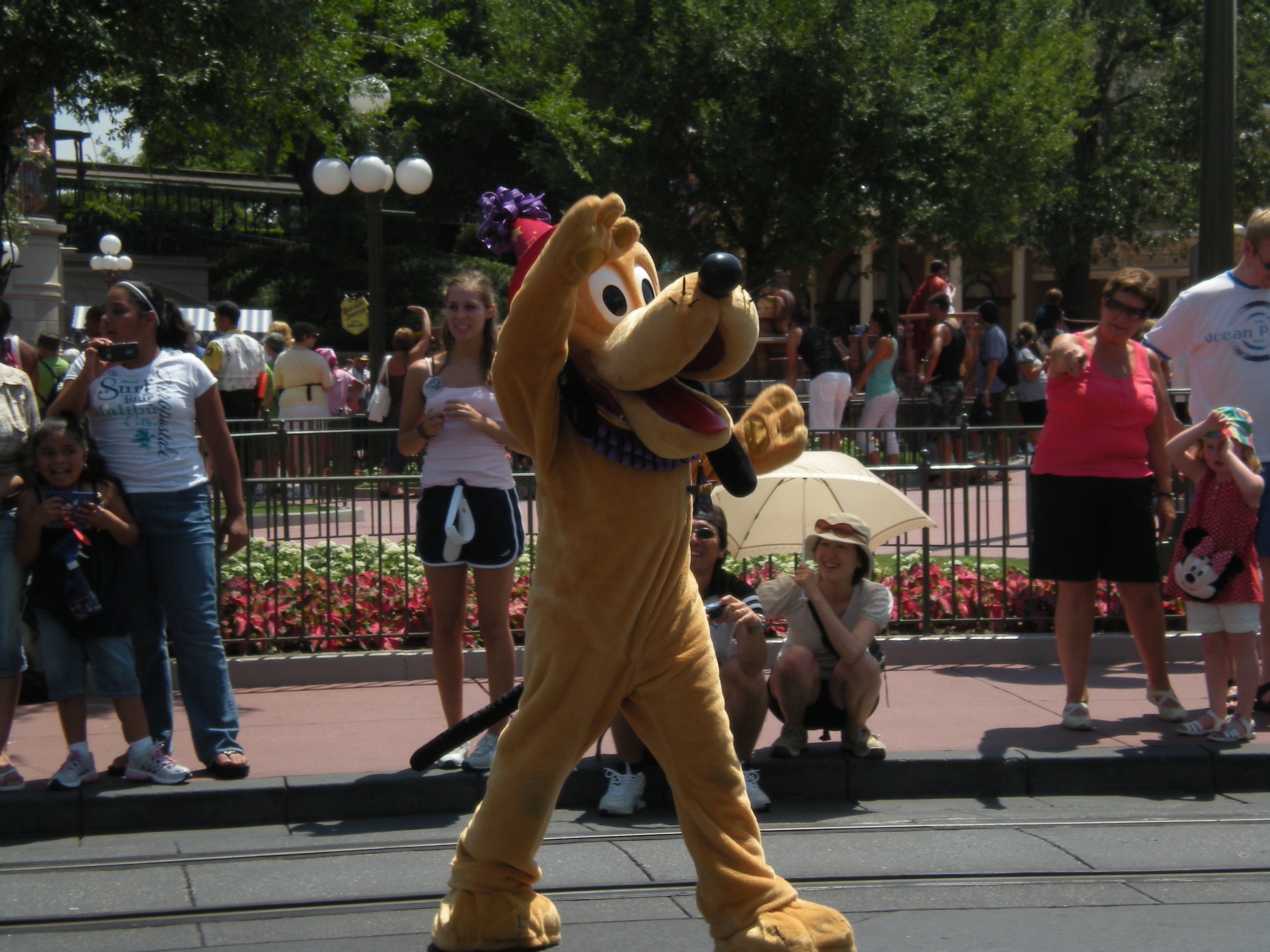 Dog -Pluto in Celebrate Today Parade at Magic Kingdom, WDW, Florida