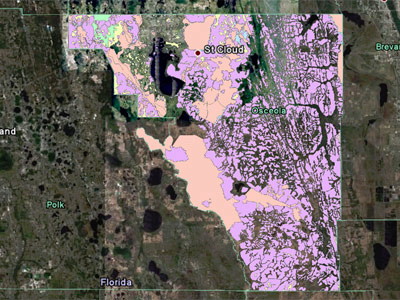 Osceola County Flood Hazard Map