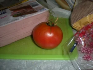 A tomato is not an organism
