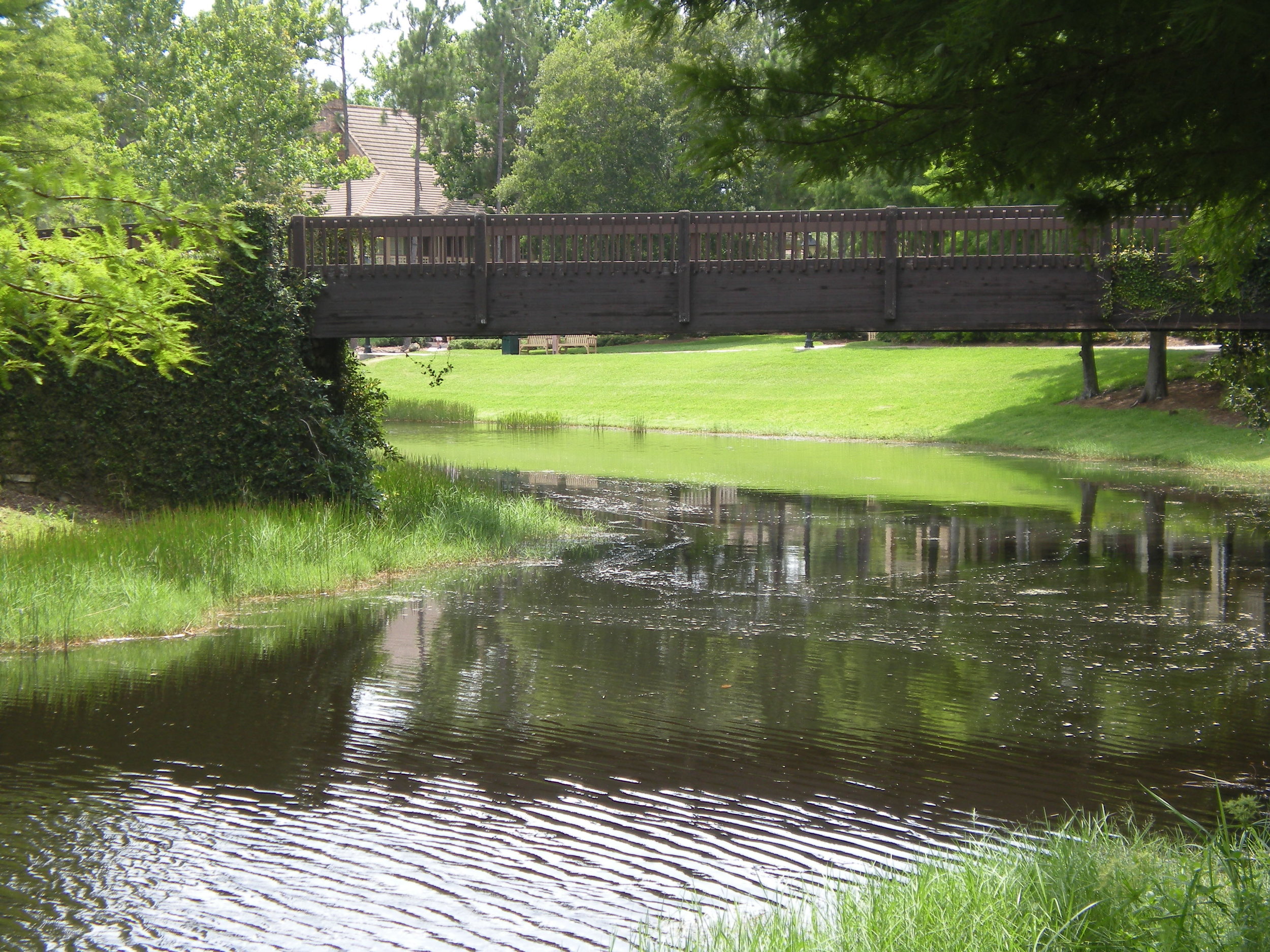Bridge over Sassagoula River, Port Orleans Riverside, Walt Disney World - Author's collection