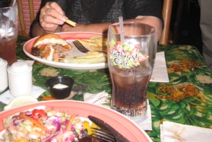 Rainforest Cafe is a fun environment that is way too stressful for your fur friends.