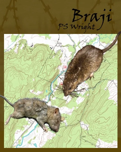 braji.jpg