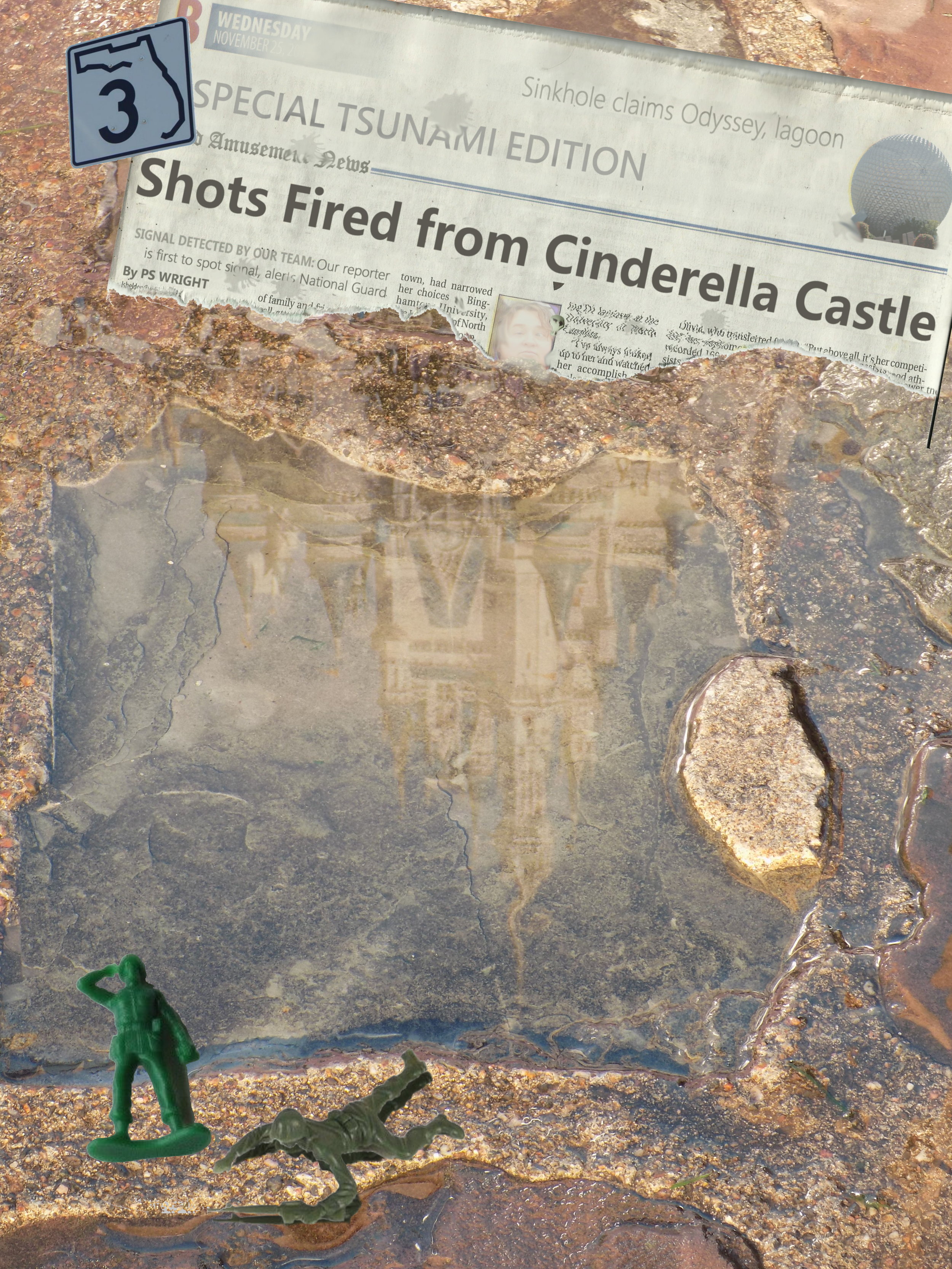 3 Shots Fired From Cinderella Castle - Print Edition