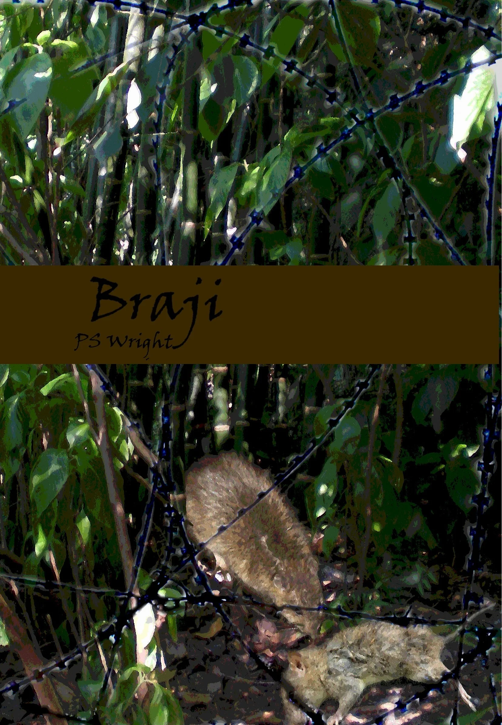 Braji print cover color.jpg