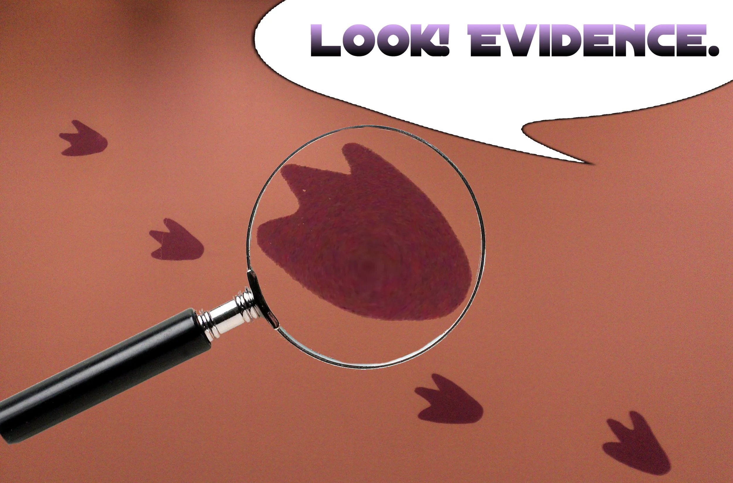 evidence footprints.jpg