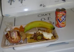 chow on broken washing machine