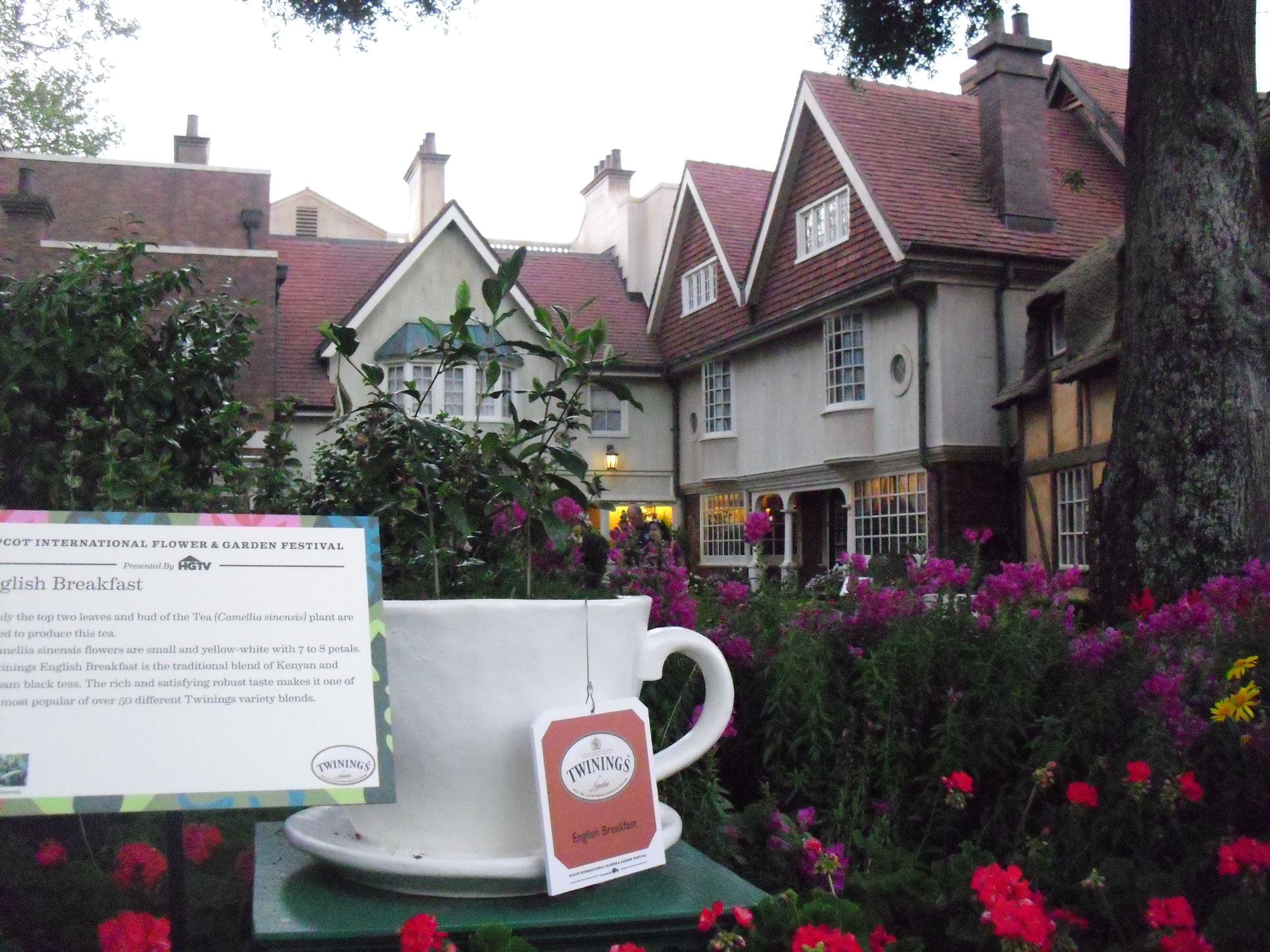 Twinings Tea garden in the UK pavillion in Epcot -Author's collection