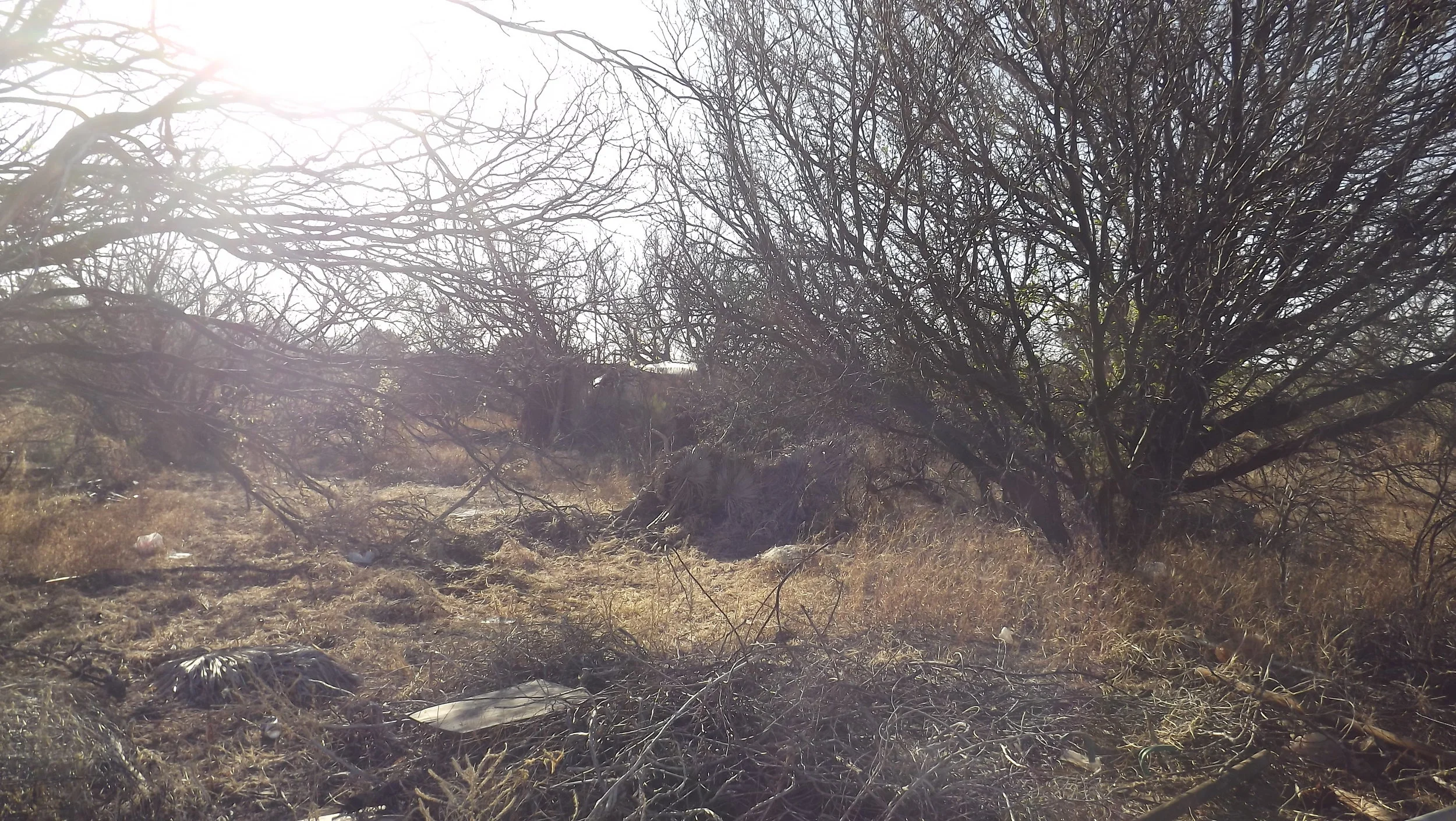 The remains of a squatter camp, Sierra Vista, Arizona