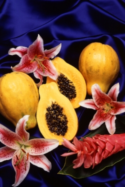 By Scott Bauer, USDA ARS [Public domain], via Wikimedia Commons