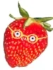 GMO strawberry.jpg
