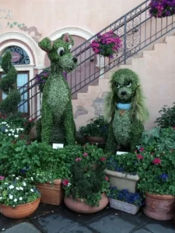 Lady and Tramp topiaries at Epcot - Author's collection