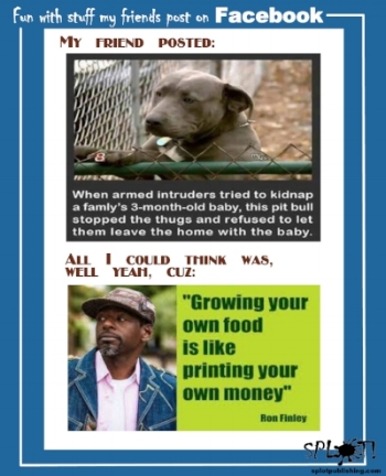 pitbulldinnermeme.jpg