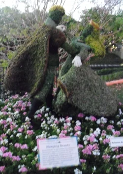 Sleeping Beauty topiary, Epcot