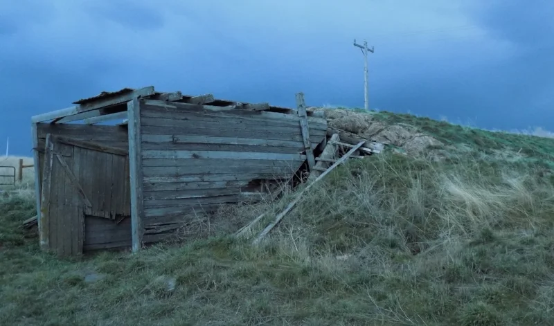 Root Cellar at Minidoka, 2017
