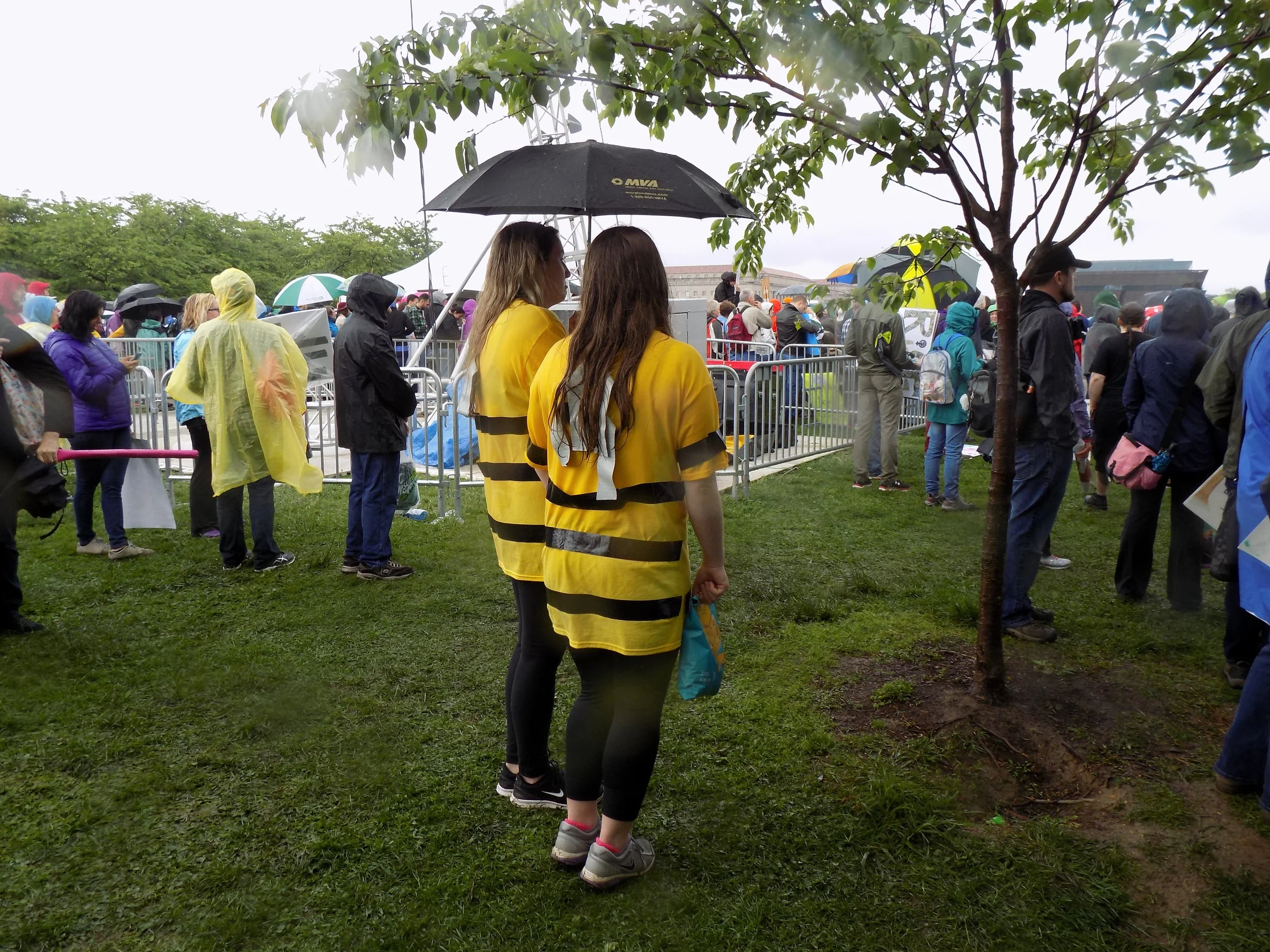 Bee Girls