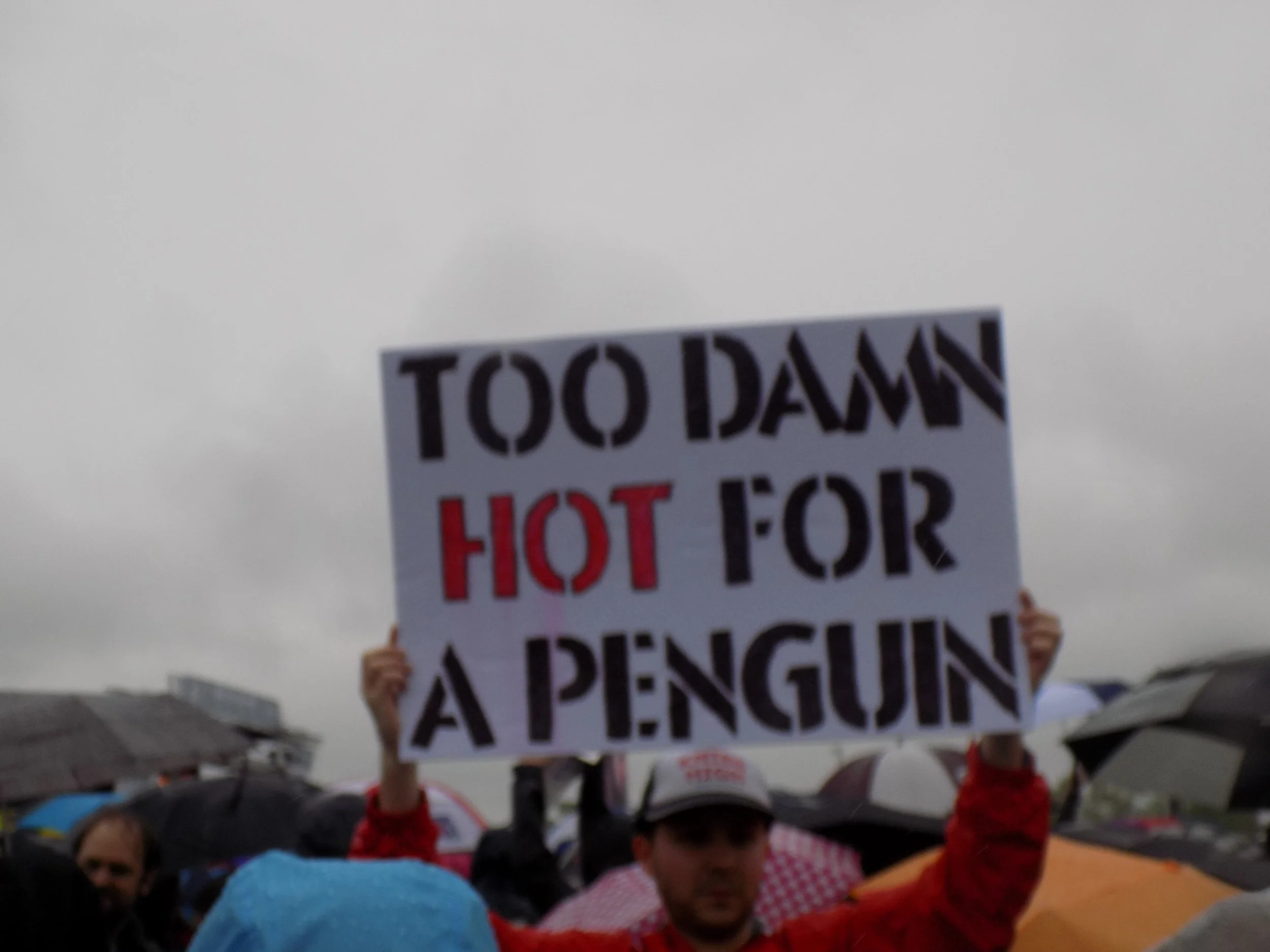 DSCN8316.JPG