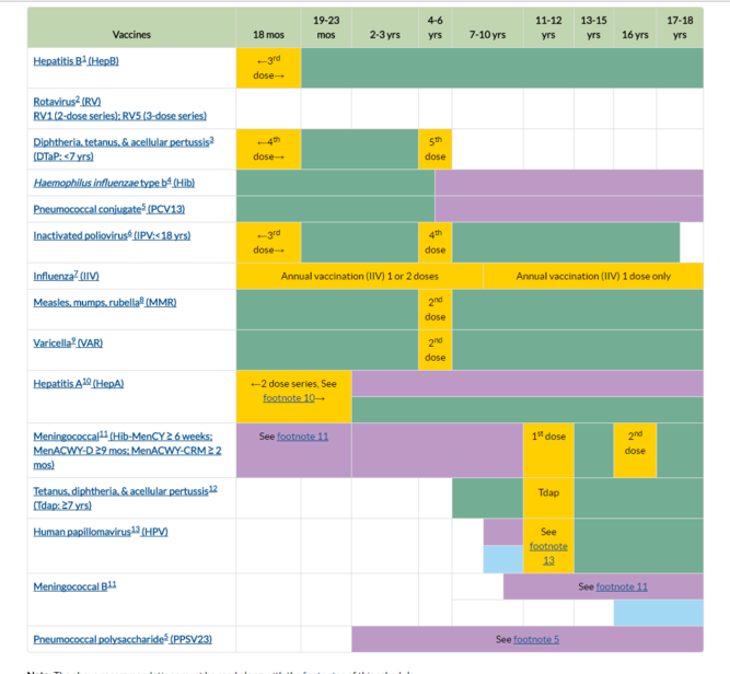 CDC schedule of recommended vaccines from 18 months to 18 years