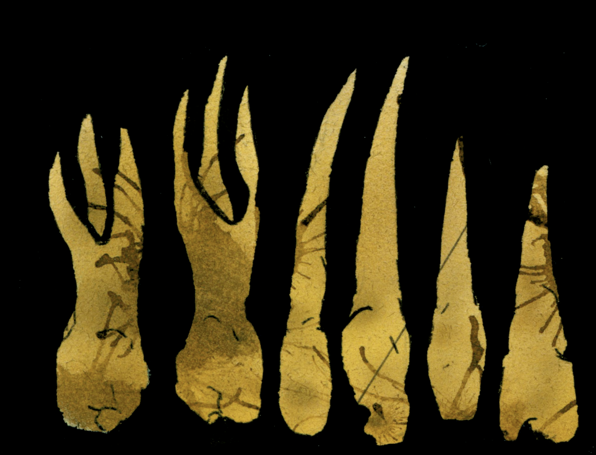 Screenshot 2024-09-26 at 9.11.36 PM.png