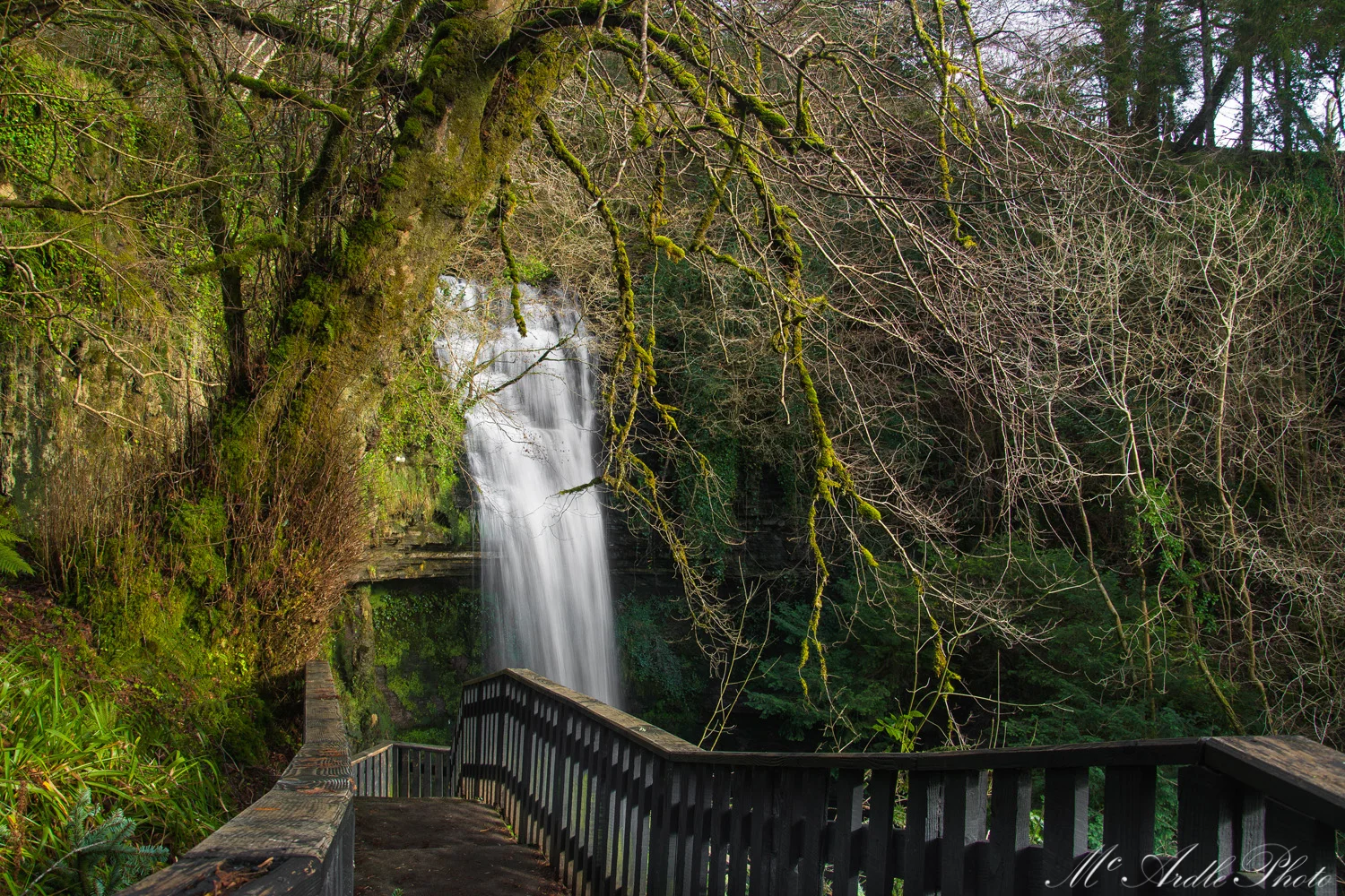 Steps to Glencar Waterfall, Co. Leitrim
