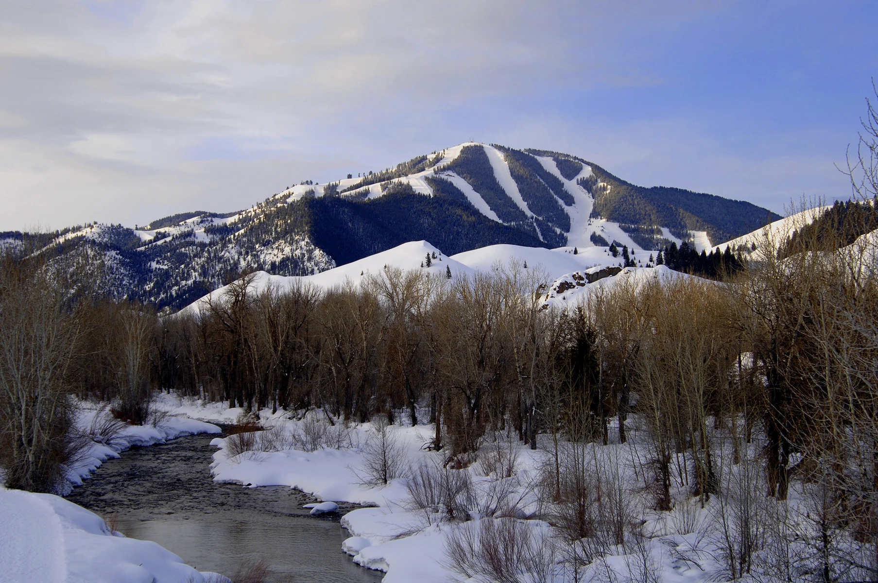 vanlife-rv-campervan-rental-idaho-sun-valley-boise-wandervans-wanderlust-k_1137478 (1).jpeg