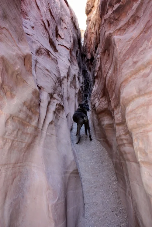 Goblin Valley And Little Wild Horse Canyon In A Campervan Rental Wandervans