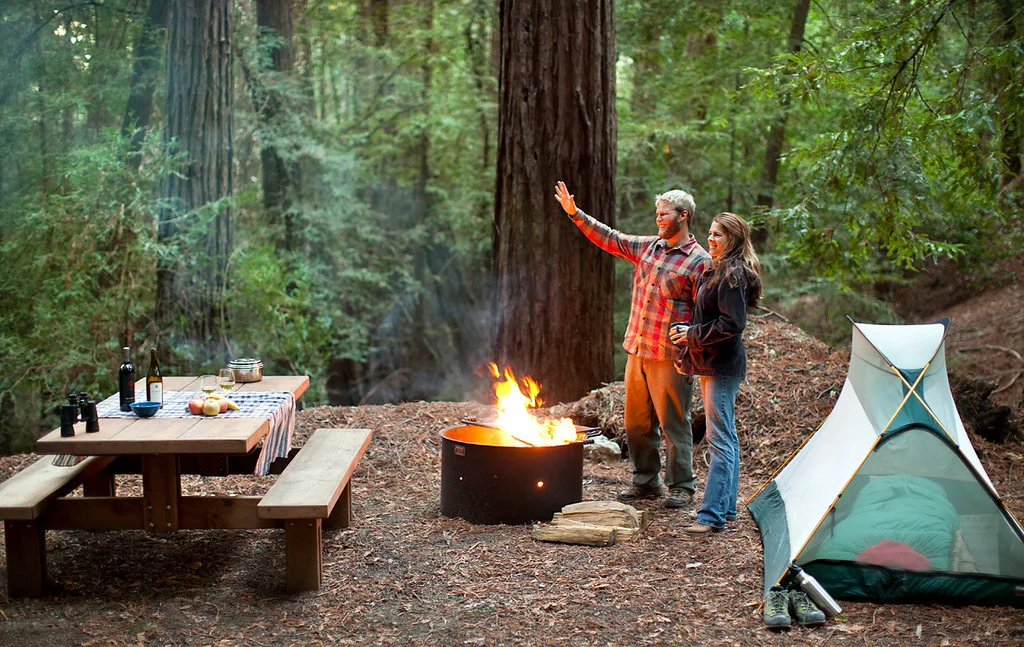 Why having a campground reservation software is a must these days
